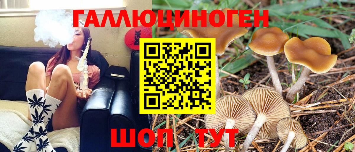 Псилоцибиновые грибы GOLDEN TEACHER Спасск-Дальний