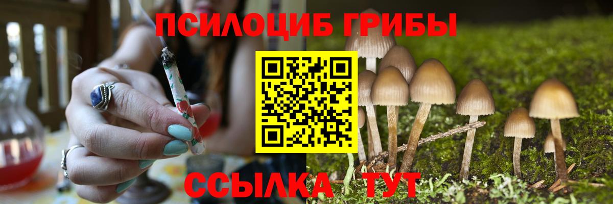 Псилоцибиновые грибы мицелий  Вход с VPN  Спасск-Дальний 